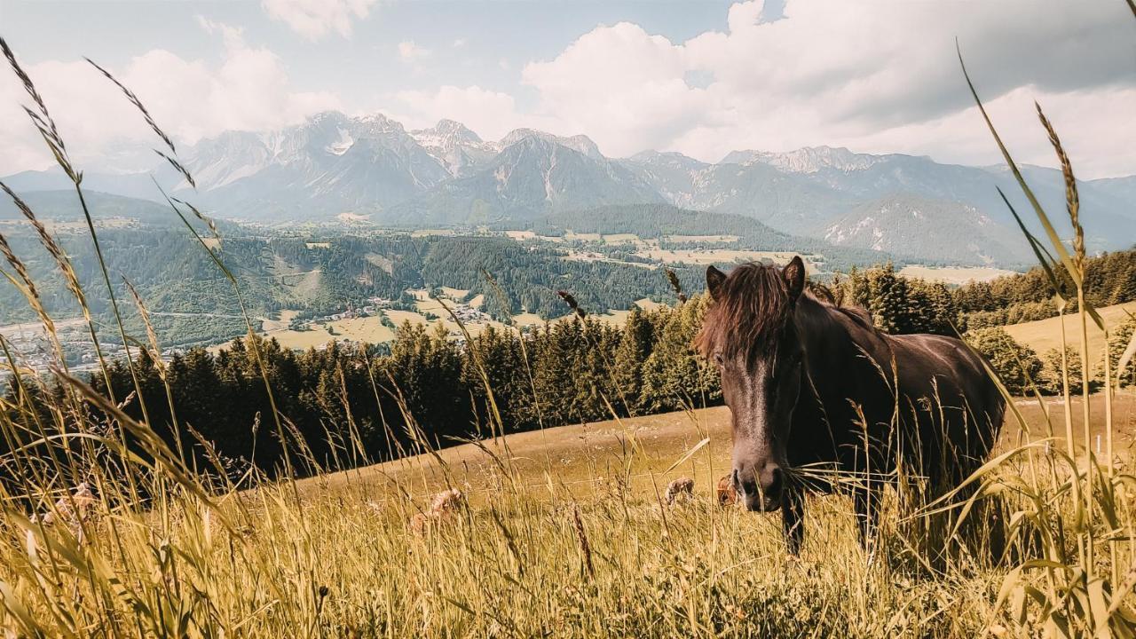 Poserhof 3* Schladming